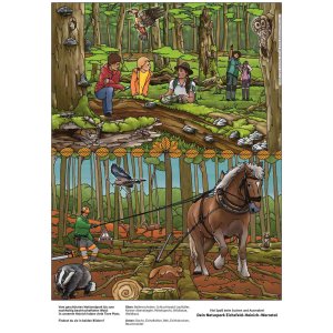 Ausmalbild Nationalpark Hainich coloriert