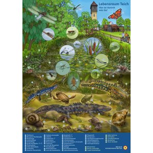 Teichbild für den Naturpark Eichsfeld-Hainich-Werratal