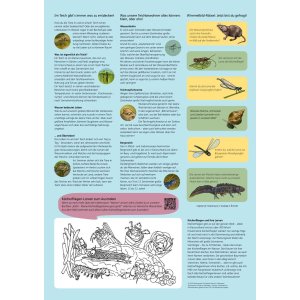 Teichbild für den Naturpark Eichsfeld-Hainich-Werratal (Rückseite)