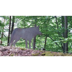 Eröffnung Pirschpfad Dieterode 2022 - Wolf Silhouette