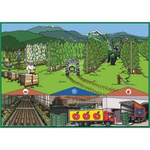 Apfelherkünfte - Europa Bio-Anbau
